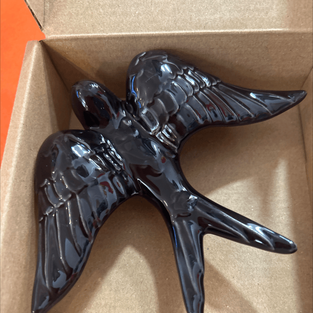 Hirondelle noir 