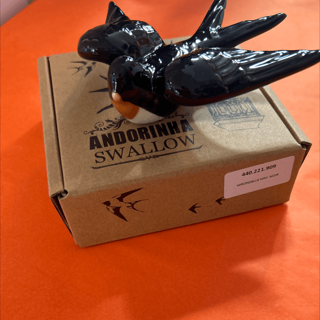 Hirondelle noir 