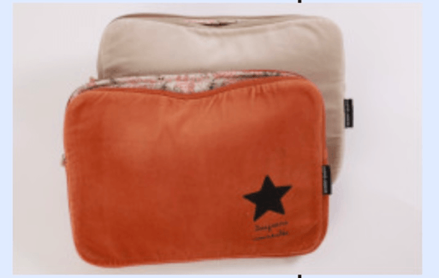 Pochette ordinateur 