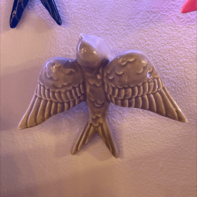 Hirondelle beige 