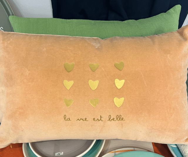 Coussin velours rectangulaire 