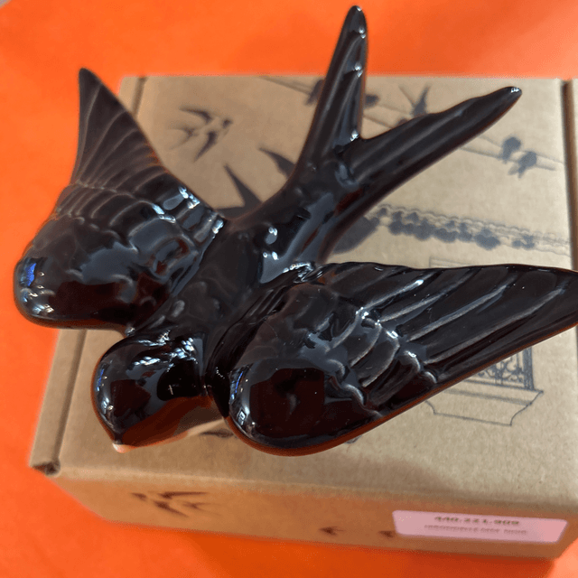 Hirondelle noir 